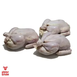 مرغ شکم پر