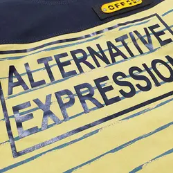 ست تيشرت شلوارک پسرانه طرح alternative کد 1331