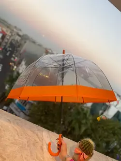 چتر قارچی نواری(30152)