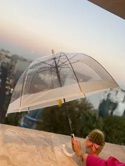 چتر قارچی نواری(30152)