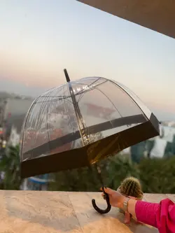 چتر قارچی نواری(30152)