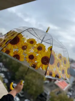 چتر آفتابگردون