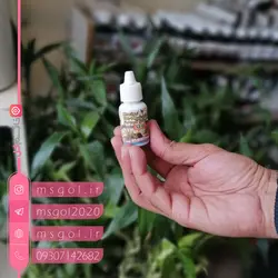 خرید قطره برای بامبو - فرمول استفاده قطره بامبو - خانم گل