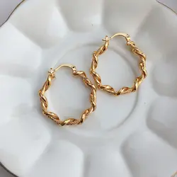 گوشواره حلقه ای zj