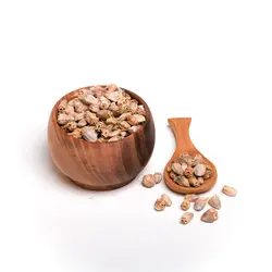 تخم آرتیشو