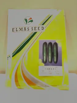 بذر خیار سارا SARA F1