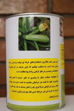 بذر کدو فوروت 249