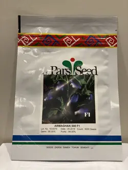 بذر بادمجان دلمه ارمغان