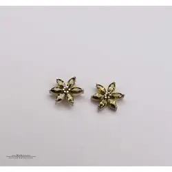 گوشواره نقره ستاره شش پر