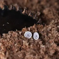 گوشواره نقره اره دیسکی