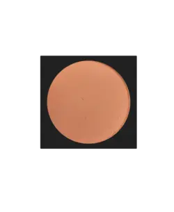 رژگونه لاکچری کوین 411