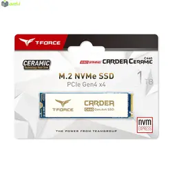 اس اس دی اینترنال تیم گروپ مدل C440 ظرفیت 1 ترابایت