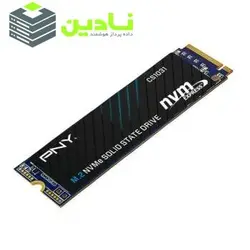 اس اس دی اینترنال پی ان وای مدل  CS1031 M.2 2280 NVMe Gen3x4 SSD 256GB