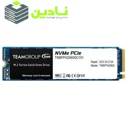 اس اس دی اینترنال تیم گروپ مدل MP34 ظرفیت 256 گیگابایت