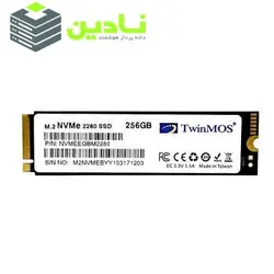 اس اس دی اینترنال تویین موس مدل NVMe M.2 2280 PCIE1 ظرفیت 256 گیگابایت