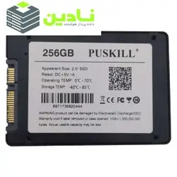 اس اس دی اینترنال پاسکیل مدل PUS-640 ظرفیت 256 گیگابایت