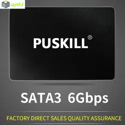 اس اس دی اینترنال پاسکیل مدل PUS-640 ظرفیت 256 گیگابایت