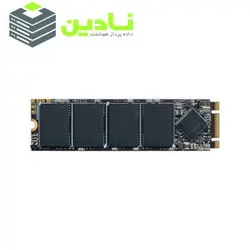 اس اس دی اینترنال لکسار مدل NM100 M.2 2280 ظرفیت 256 گیگابایت
