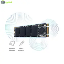 اس اس دی اینترنال لکسار مدل NM100 M.2 2280 ظرفیت 256 گیگابایت