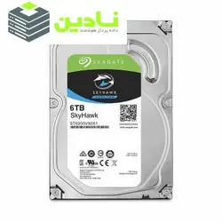 هارددیسک اینترنال سیگیت مدل SkyHawk ST6000VX001 ظرفیت 6 ترابایت