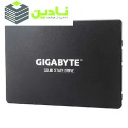 اس اس دی اینترنال گیگابایت مدل GP-GSTFS31256GTND ظرفیت 256 گیگابایت