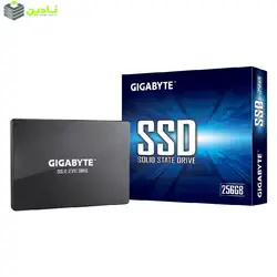 اس اس دی اینترنال گیگابایت مدل GP-GSTFS31256GTND ظرفیت 256 گیگابایت