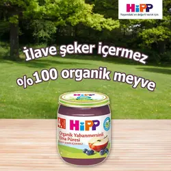 پوره ارگانیک سیب و بلوبری هیپ HIPP