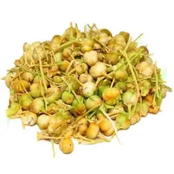 روغن اسپند