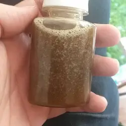 روغن خراطین