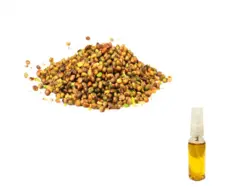 روغن بنه