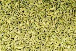 روغن رازیانه