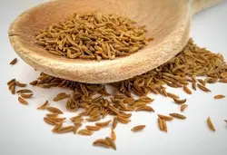 روغن رازیانه