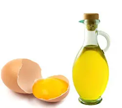 روغن زرده تخم مرغ