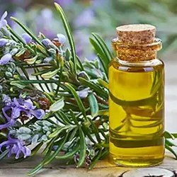 روغن رزماری