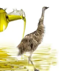 روغن شترمرغ