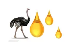 روغن شترمرغ