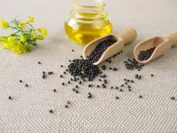 روغن کلزا یا کانولا