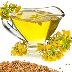 روغن کلزا یا کانولا