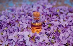 روغن گل بنفشه