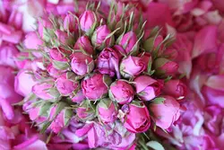 روغن گل سرخ