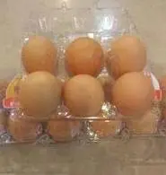 تخم مرغ محلی و ارگانیک گلپایگان شش عددی
