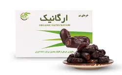 خرید خرما مضافتی ارگانیک بم صادراتی 650 گرمی - ارگانیکی