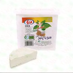 پنیر سویا (توفو) دنیا