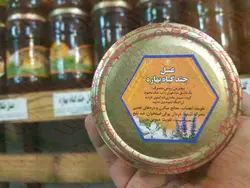 عسل چندگیاه بهاره یک کیلویی محمد