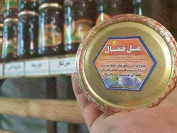 عسل قنقال یک کیلویی محمد