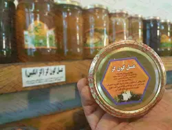 عسل گون گز (گز انگبین)یک کیلویی محمد