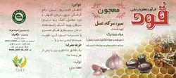 معجون سیر،سرکه،عسل ارگانیک250 گرمی قود