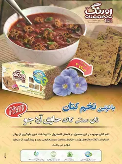 نان سنتی کاک با تخم کتان اورنگ مقدار 450 گرم