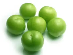 آلوچه (گوجه سبز)