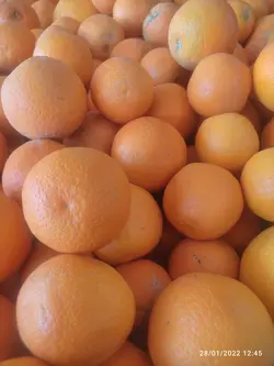 پرتقال بمی گونی (20کیلوگرم)